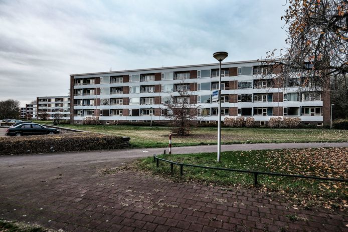 De flats aan de Beethovenlaan in Doetinchem. De twee voorste worden voorjaar 2022 gesloopt.