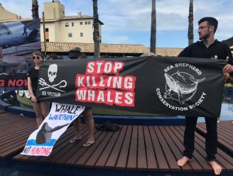 Japan vraagt dat commerciële walvisjacht weer toegelaten wordt