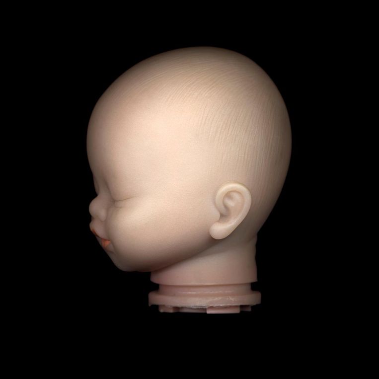 null Beeld Walter Willems