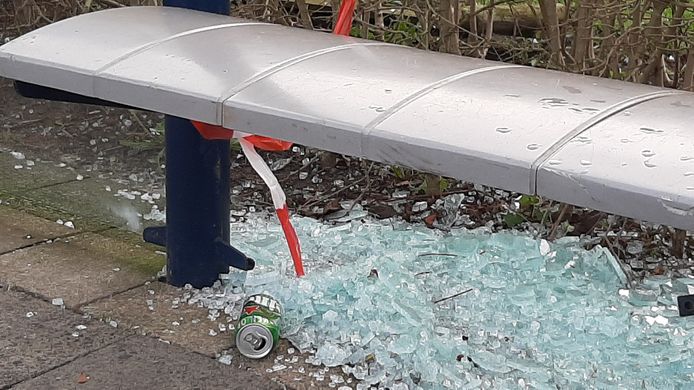 Vernield bushok in het Soesterkwartier.