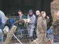 Pepingse boeren ook in beroep veroordeeld voor dierenmishandeling