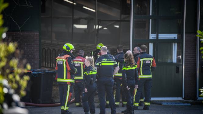 Brand in stal met honderd schapen, dieren stonden in de rook 