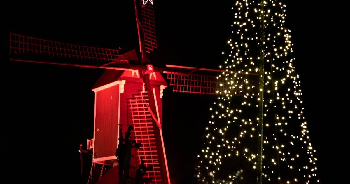 Kerstboom van kunststof bij Mierlose molen, ‘een échte boom kappen kan