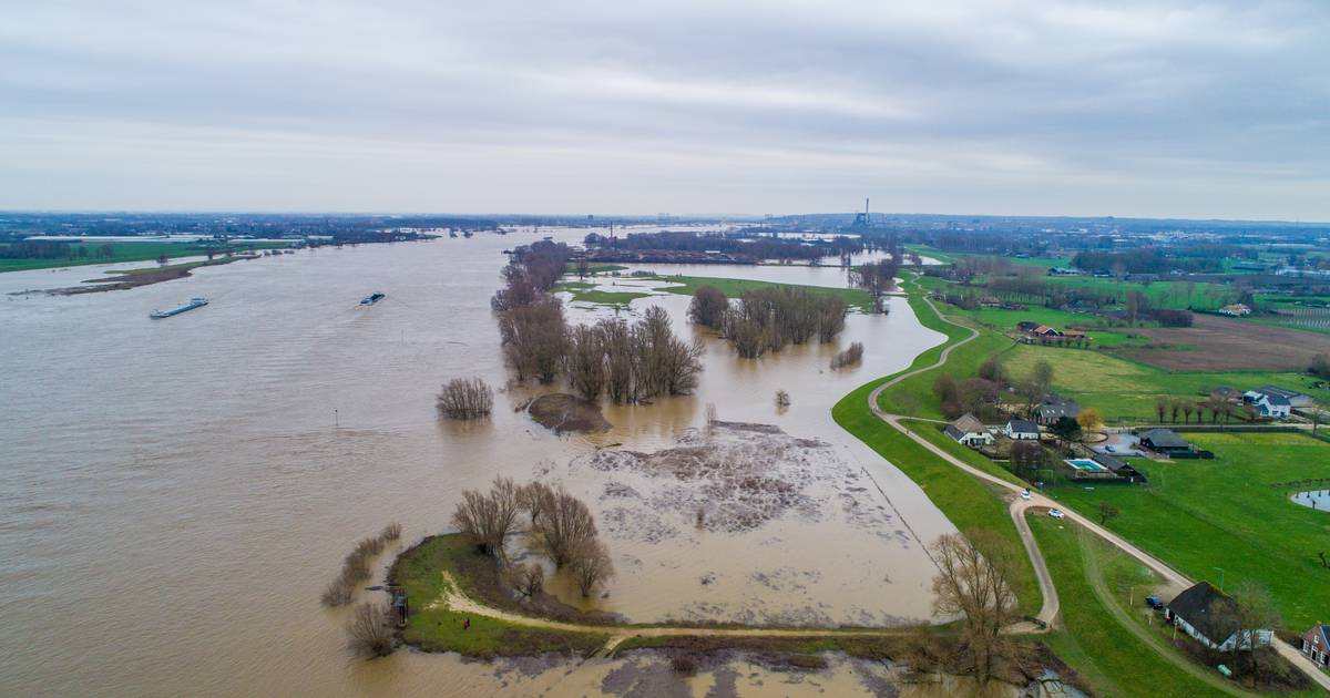 Ventileren Afgrond weduwnaar Indrukwekkend: hoogwater levert prachtige beelden op | Nijmegen | AD.nl