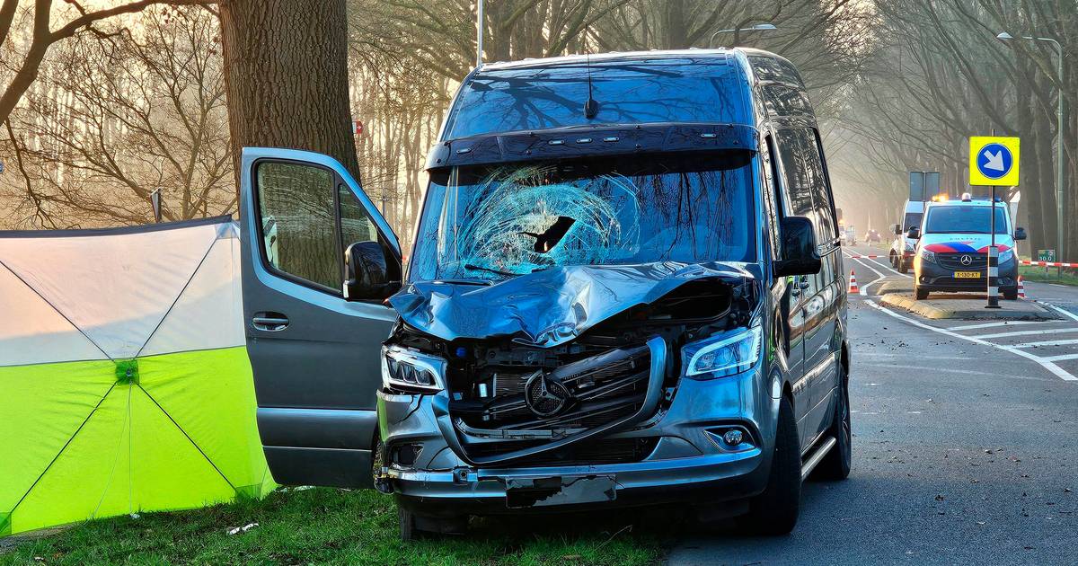 Wéér een verkeersongeluk met dodelijke afloop in dit dorp: ‘Dit moet onderhand écht eens stoppen’.