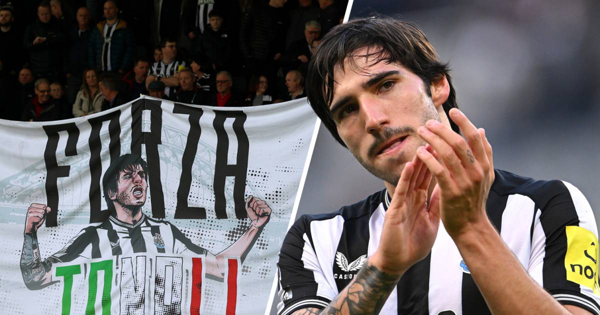 Dopo gli onori del Newcastle il tossicodipendente Sandro Tonali: presto seguirà un anno di squalifica |  calcio