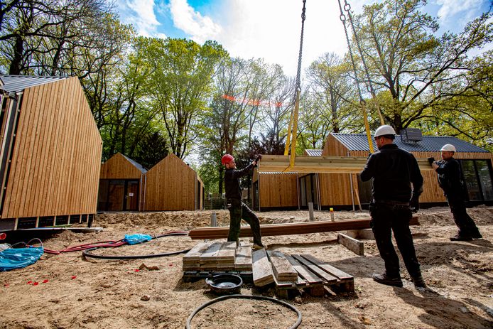 Op het terrein van de Grote Beek GGzE in Eindhoven zijn 12 tiny houses geplaatst door coöperatie Trudo. De woningen zijn bedoeld voor cliënten die toe zijn aan zelfstandig wonen.