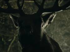Na psychopathische Pooh nu ook film over bloeddorstige Bambi