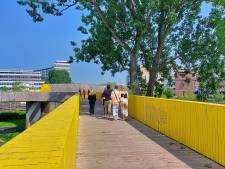 Van rijp voor de sloop tot weer helemaal de place to be: Luchtsingel blijft bestaan
