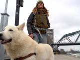 Doe mee: loop met Ellen de Klimaatwandeling