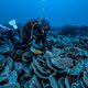 Bijzonder groot ongerept koraalrif ontdekt voor de kust van Tahiti: ‘Een kunstwerk’