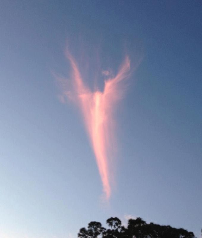 Un Ange Dans Le Ciel Pour La Nomination Du Pape Insolite 7sur7 Be