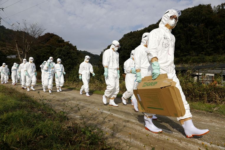 Een uitbraak teistert het noordoosten van Japan. Beeld REUTERS
