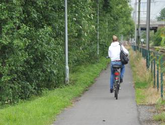 Aanleg openbare verlichting langs fietspad Sint-Amands en Puurs van start