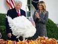 ‘Lamme eend’ Trump verleent gratie aan kalkoen, maar ‘profetische’ editie van 2018 trekt alle aandacht