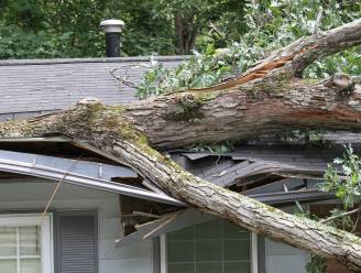 Stormen Dudley en Eunice in het land: hoe goed zijn onze woningen verzekerd tegen extreem weer? 
