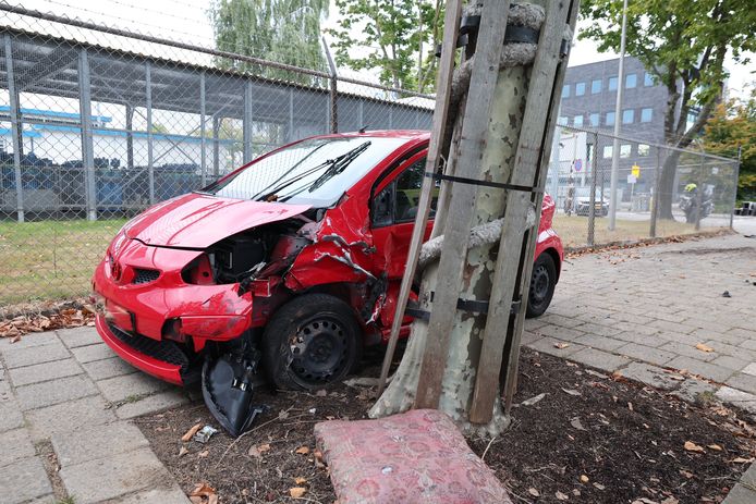 A car got stuck between a tree and a fence.