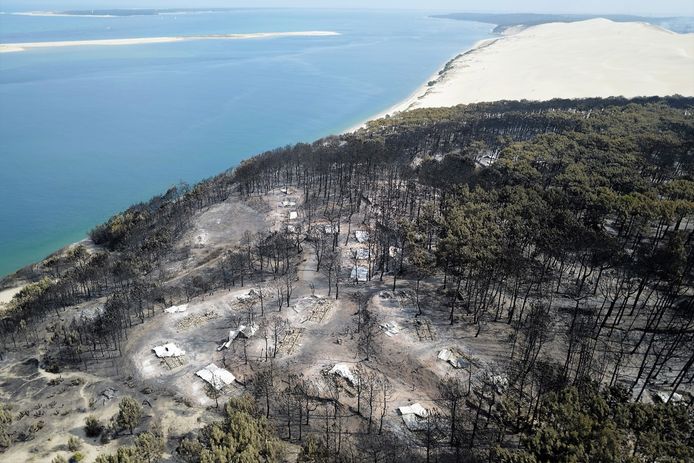 Une forêt brûlée après le passage du feu dans le site de la "Dune du Pilat" à La-Teste-de-Buch, en France, le 20 juillet 2022.