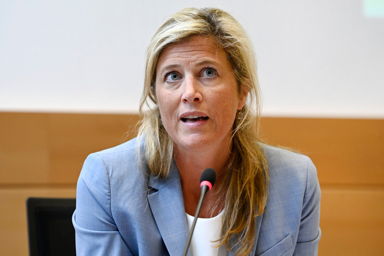 Minister van Binnenlandse Zaken Annelies Verlinden (CD&V). Beeld Photo News