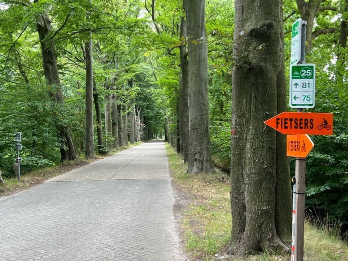 De Kastanjedreef.