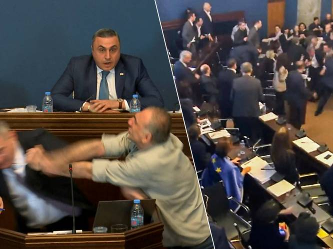 KIJK. Gevecht breekt uit in Georgisch parlement: spreker wordt verrast door forse vuistslag