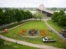 ‘Blij met wild groen én het bloemenwapen’