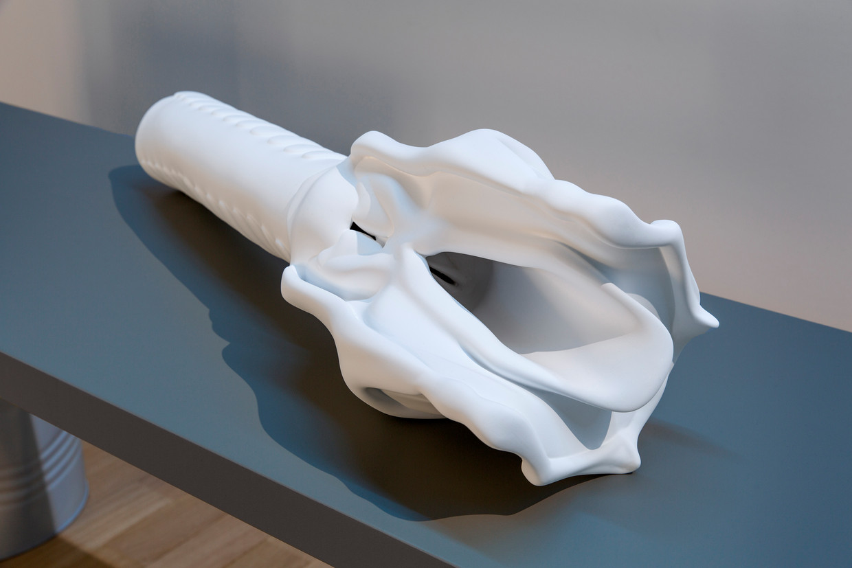Femke Herregraven, Diving Reflex (Because We Learned Not to Drown, We Can Sing), multimedia-installatie, 2019. Beeld Daniel Nicolas