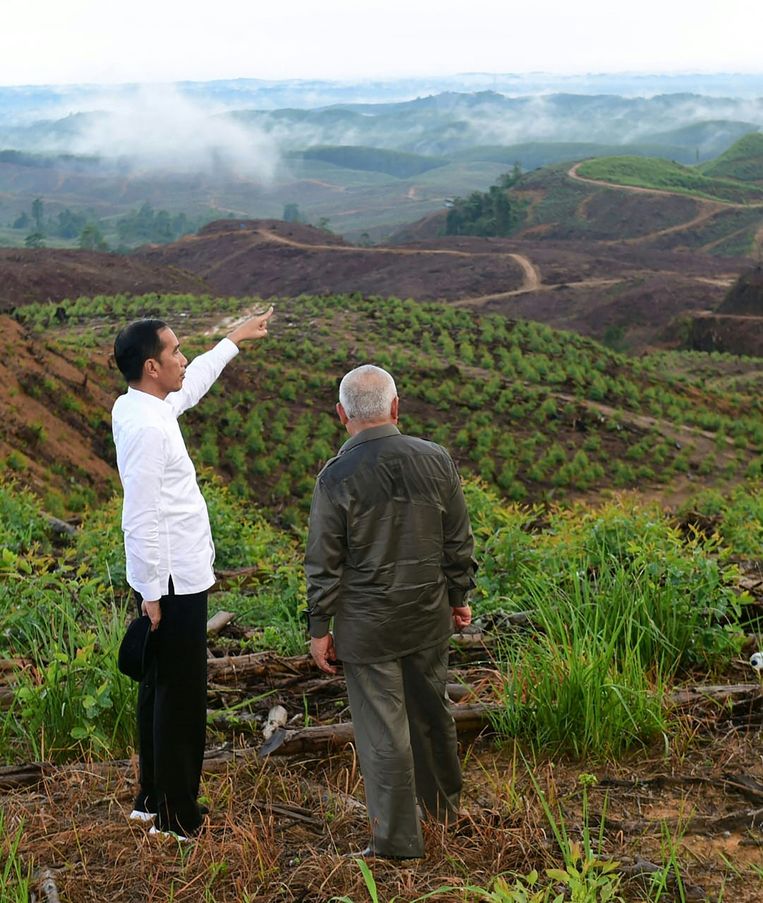 Parlemen Indonesia menyetujui pembangunan ibu kota baru: €28 miliar