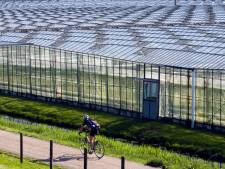 Westlandse tuinders helpen regionale telers aan voldoende water bij neerslagtekorten