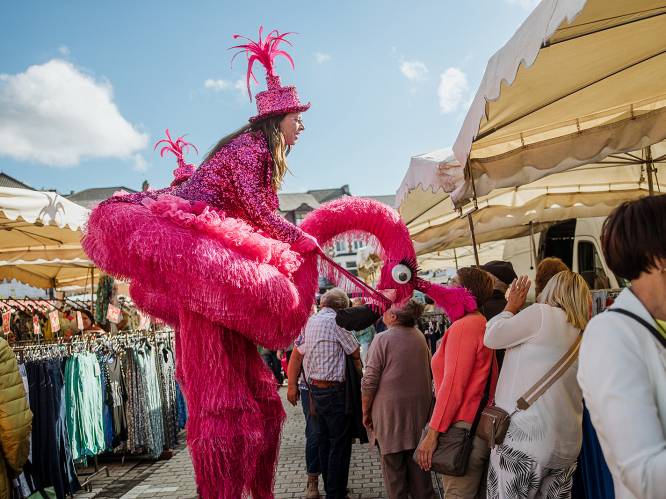 Truiense handelaars vieren zomer met braderie, autoshow en avondmarkt