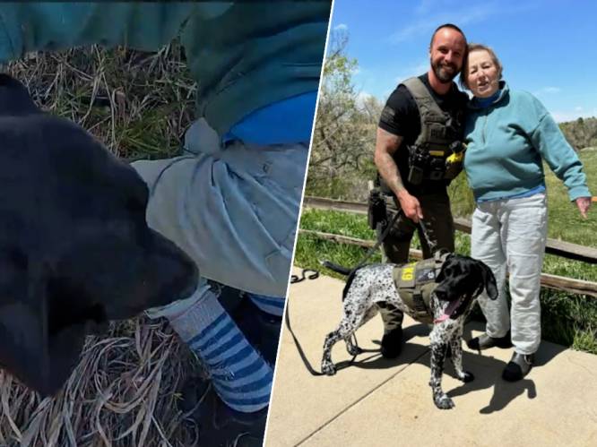 KIJK. Amerikaanse politiehond Mercury redt 85-jarige vrouw die zich vastklampt aan boom in steil ravijn