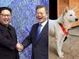 Zuid-Koreaanse ex-president wil honden wegdoen die hij cadeau kreeg van Noord-Koreaanse Kim Jong-un 