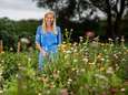13.500 vierkante meter berm langs N470 wordt Honey Highway