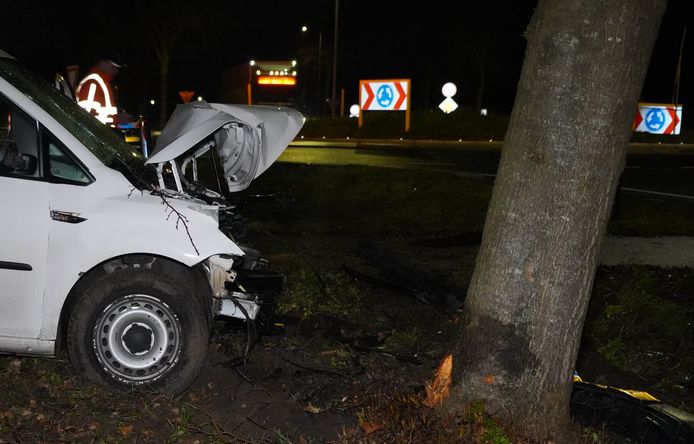 De bestuurder miste de rotonde en kwam tegen een boom tot stilstand.