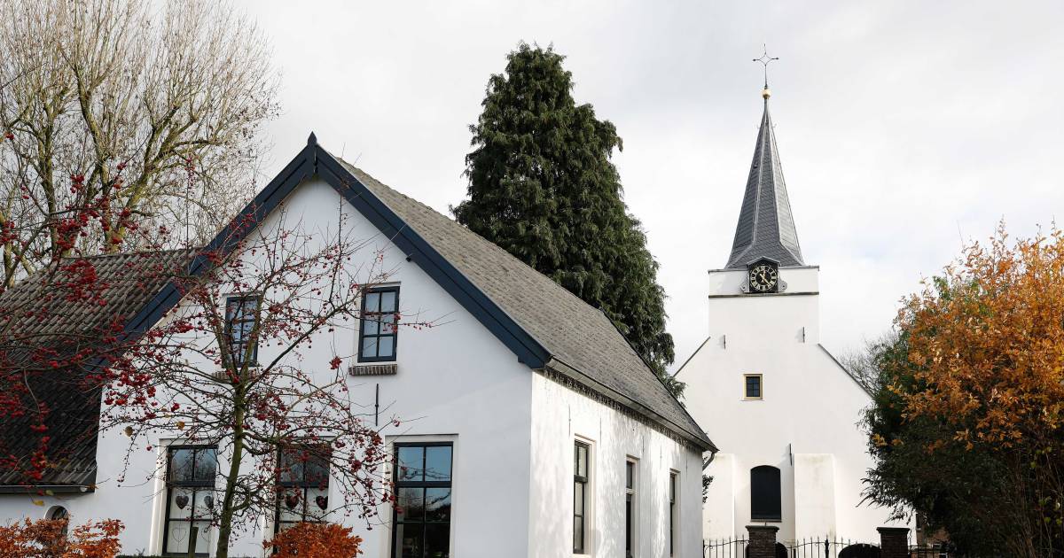 Tbs voorbij voor pianostemmer die dominee in kerk Rhenoy gehandicapt sloeg