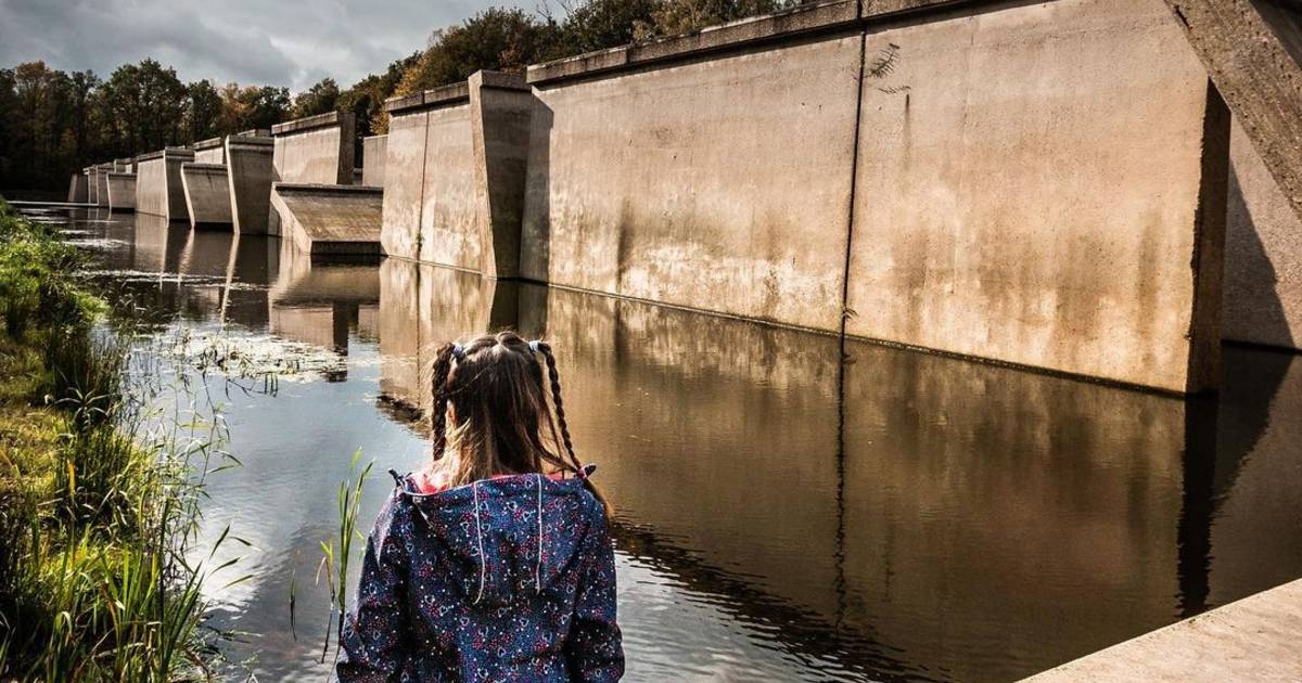 Het Weer In Marknesse Wie zet Waterloobos in Marknesse dit najaar het mooist op de foto