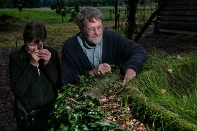 Lezing over het nut van dieren in de eigen Ommelse leefomgeving