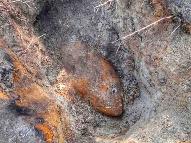 Nietsvermoedende schattenjager vindt vliegtuigbom uit de Tweede Wereldoorlog in bossen van Valkenswaard