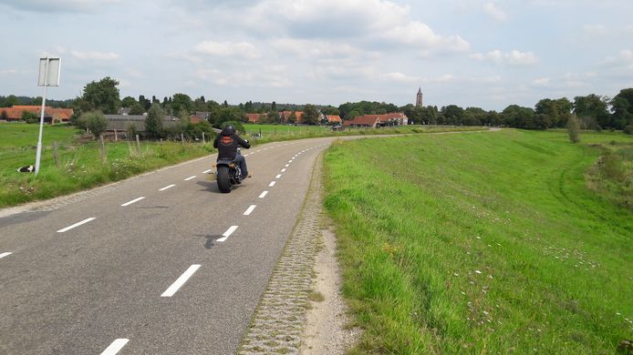 De Lekdijk bij Amerongen.