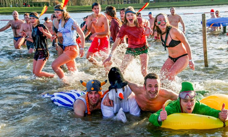 Ijsberen Klaar Voor Winterduik Sint Niklaas In De Buurt Hln