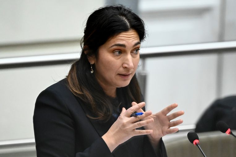 Vlaams minister van Energie Zuhal Demir Beeld BELGA