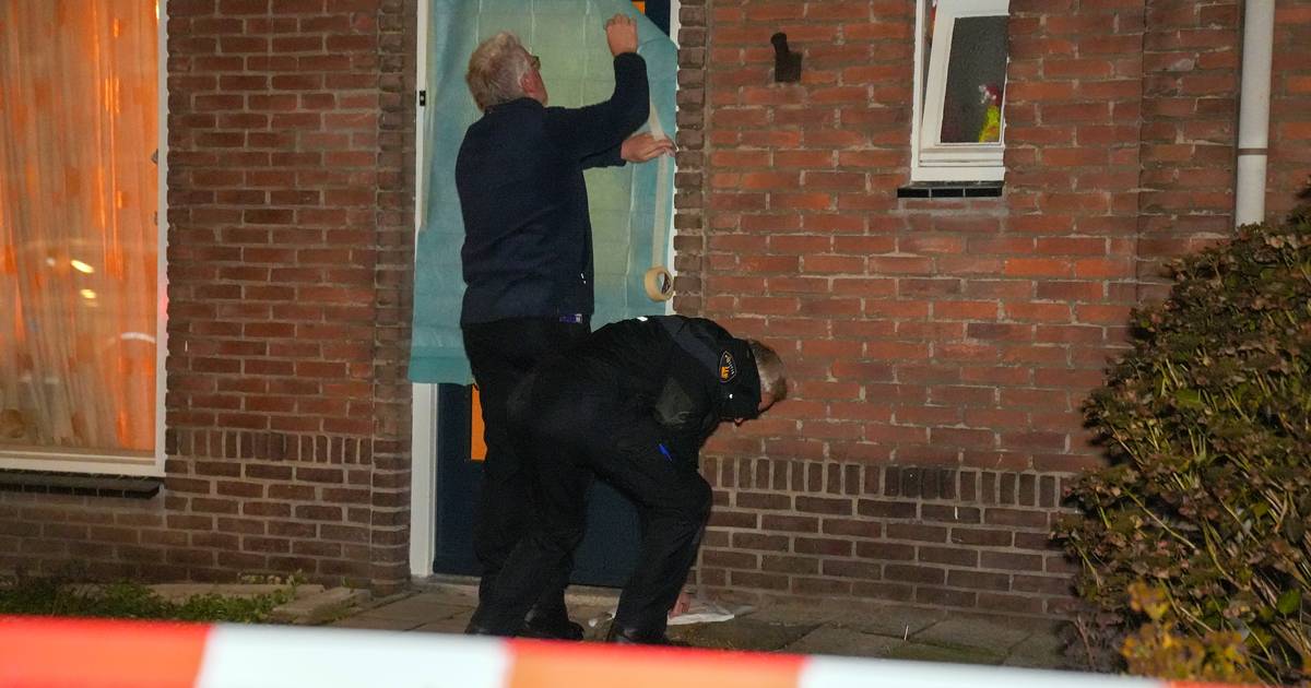 Deurnenaar bekent doodsteken moeder (43) in Asten | Asten | ed.nl