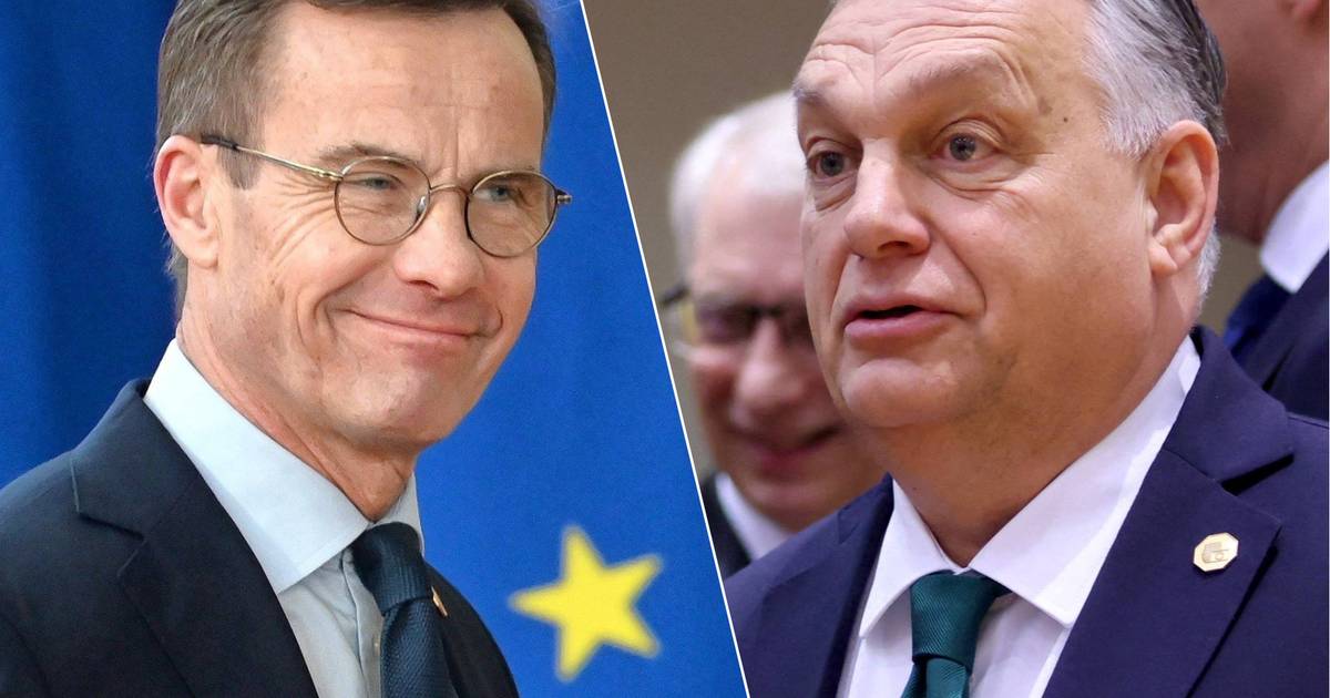 'Visit Orban first': Hungary presents new condition for Sweden to join NATO |  outside