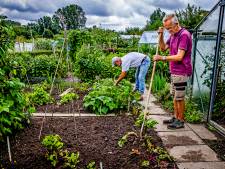 Uitgebreid onderzoek naar PFAS in moestuinen binnen en buiten een straal van 1 kilometer van Chemours