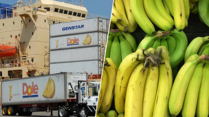 Weet wat je eet: hoe komt het dat ingevoerde bananen twee weken onderweg zijn en toch onrijp aankomen?