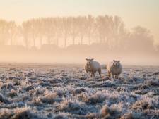 Waarom het al dagen mistig is en dat voorlopig ook zo blijft