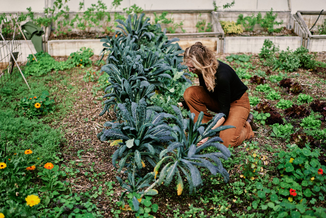 Sabien Windels van Roof Food runt al vijf jaar een dakmoestuin. In het begin gebruikte ze de tuin om bij bedrijven de lunch aan te bieden en catering te organiseren. ‘Maar het was doodjammer dat niemand die prachtige moestuin te zien kreeg.’ Beeld Thomas Sweertvaegher