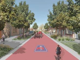 Molenstraat krijgt 12 meter brede straattuin, Koninginnelaan en Wevers- en Vandervaetstraat worden fietsstraten 