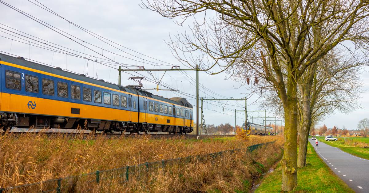 Geen treinen tussen Emmen en Hardenberg door een aanrijding.