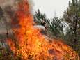 Meer dan 1.000 pompiers bestrijden Portugese bosbranden